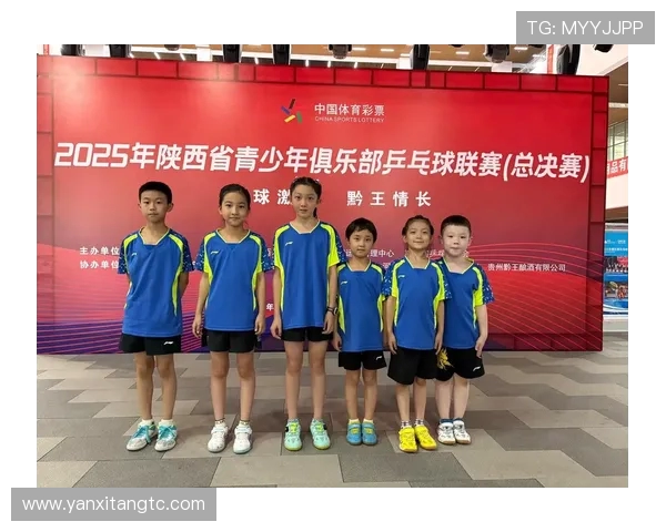乒乓球的魅力与精神：深入了解西安乒乓球队的训练与文化