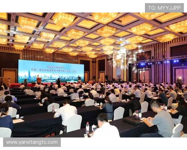 南京网球队团队协作创新之路探讨与热议