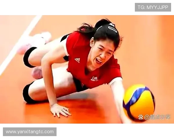 武汉排球队节奏之争引发热议球迷观点各异引发讨论