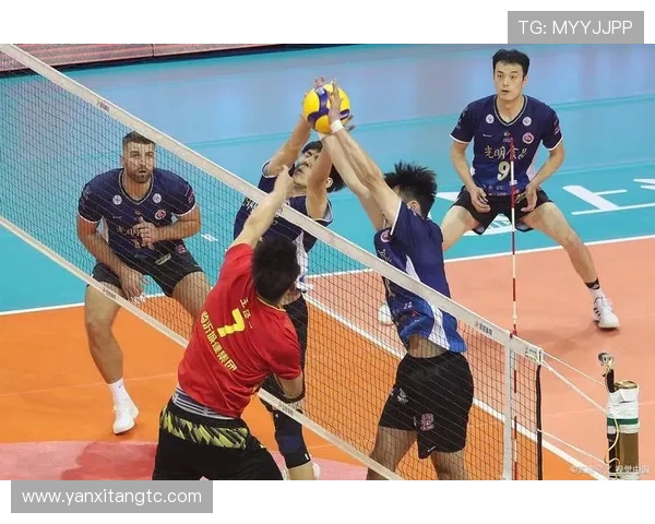 深圳排球队配合变革引发热议展现团队协作新风貌 深圳排球队配合变革引发热议展现团队协作新风貌