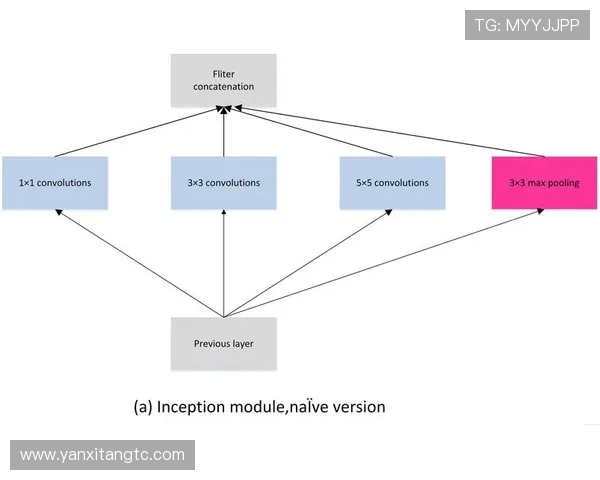 独家解读：WE战术布局与对手的深度对比分析