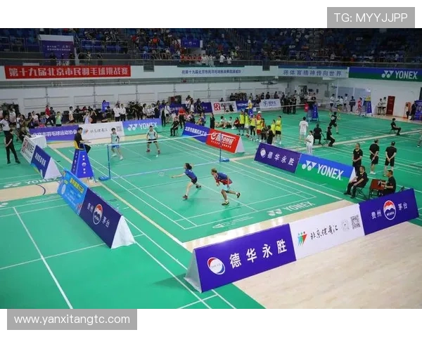 羽毛球盛宴：深入解析北京羽毛球队的比赛策略与经验分享