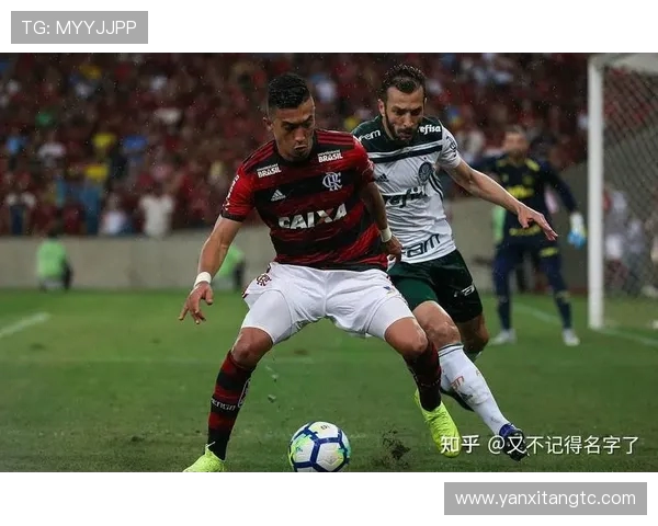 圣保罗与帕梅拉斯对决结果揭晓精彩瞬间回顾与分析 圣保罗与帕梅拉斯对决结果揭晓精彩瞬间回顾与分析