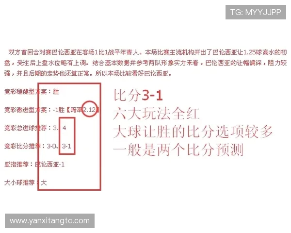 巴西国际对阵塞阿拉实时赛事动态与精彩瞬间分析